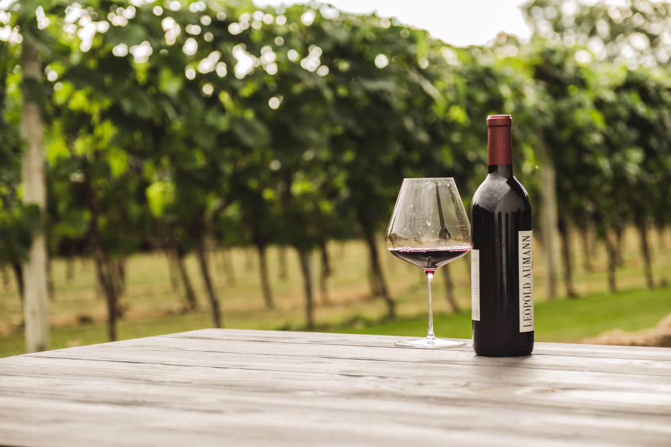 Eine Flasche Rotwein und ein gefülltes Glas auf einem Holztisch mit einem Weinberg im Hintergrund.